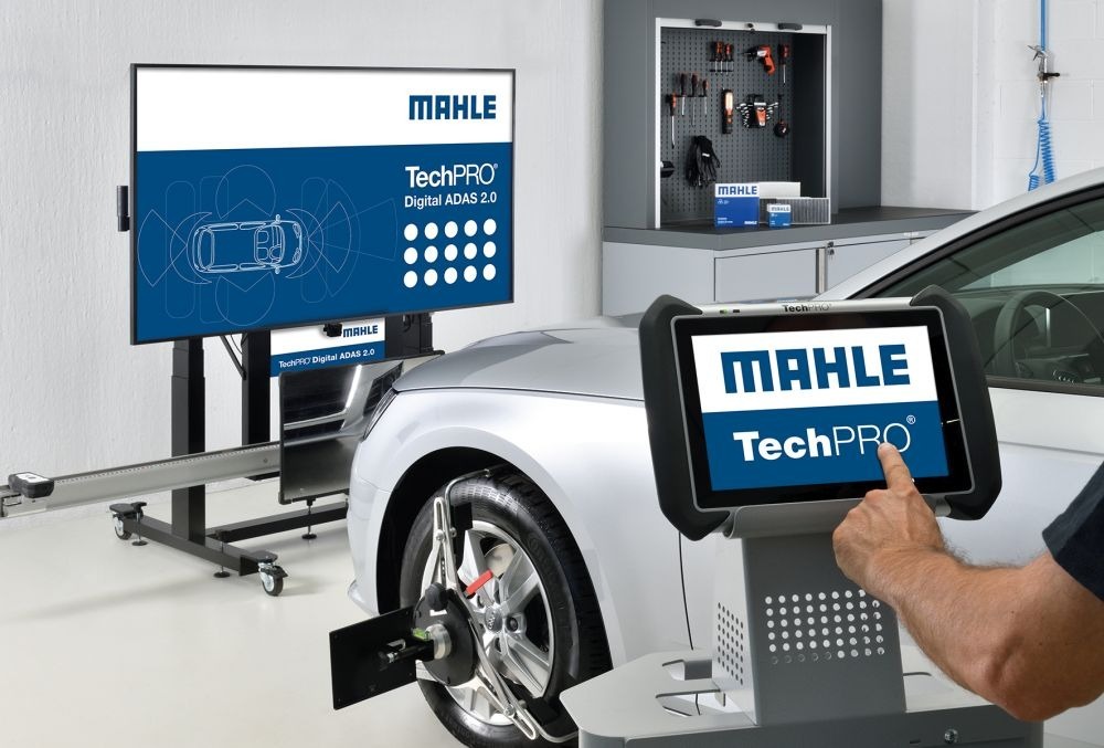MAHLE Brain Bee Partner